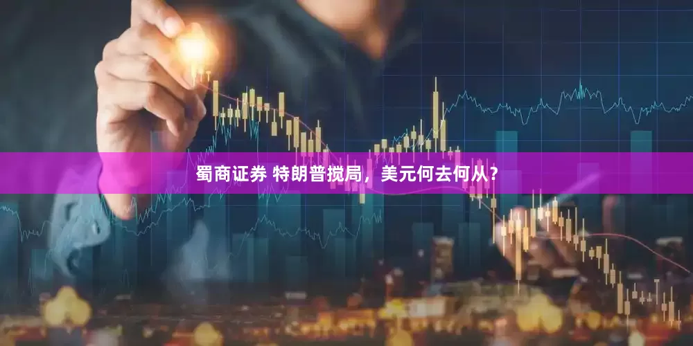蜀商证券 特朗普搅局，美元何去何从？