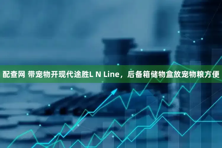 配查网 带宠物开现代途胜L N Line，后备箱储物盒放宠物粮方便